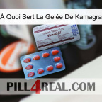 À Quoi Sert La Gelée De Kamagra 36